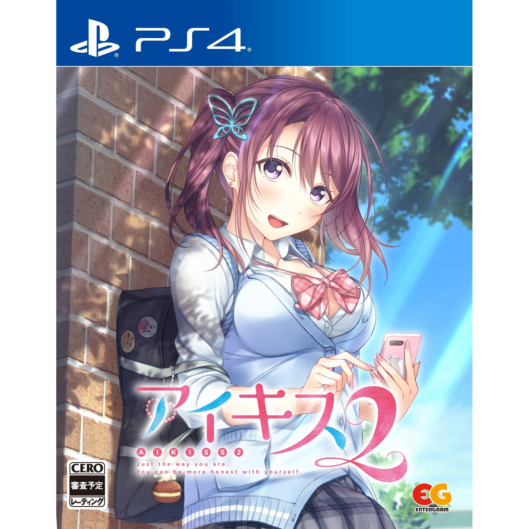 【買取安い】新品即決☆PS4アイキス2完全生産限定版ソフマップ特典タペストリー未使用 その他