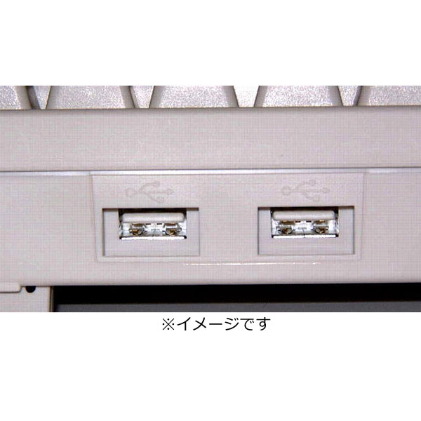 【在庫限り】 PD-KB200B/U　有線キーボード Happy Hacking Keyboard Lite 2 英語配列　 [USB接続・USBハブ搭載・黒]