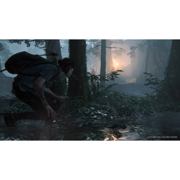 The Last of Us Part II 通常版 【PS4ゲームソフト】_1