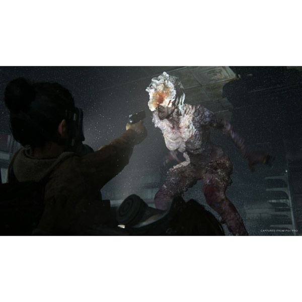 The Last of Us Part II 通常版 【PS4ゲームソフト】_6