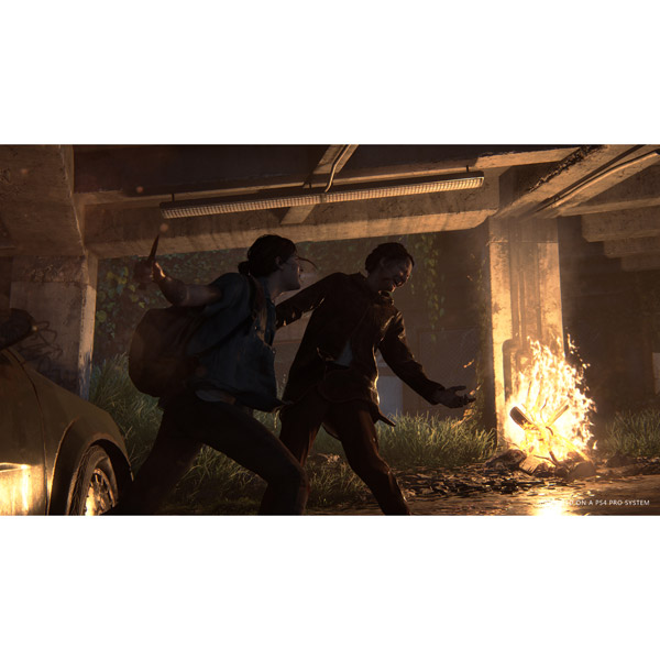 The Last of Us Part II コレクターズエディション 【PS4ゲームソフト】_6