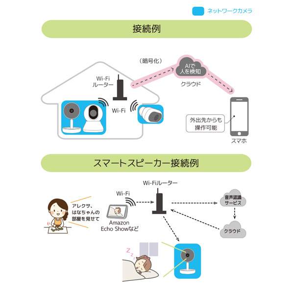 ieCame ネットワークカメラ（パンチルト） RS-WFCAM2 ［暗視対応 /無線