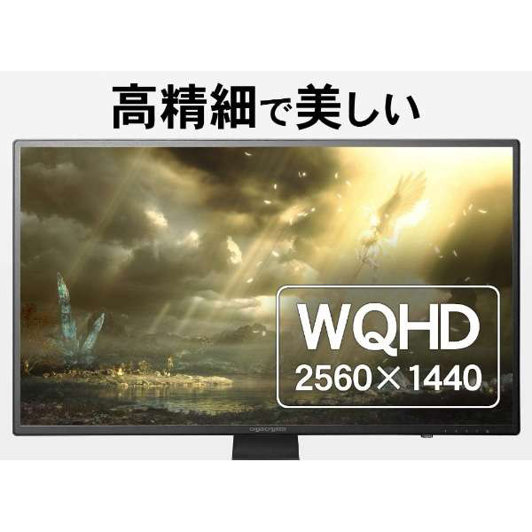 PS5動作確認済み】LCD-GCQ271XDB 27型ゲーミング液晶ディスプレイ[2560×1440/ADS/DisplayPort・HDMI×3]  GigaCrysta｜の通販はソフマップ[sofmap]