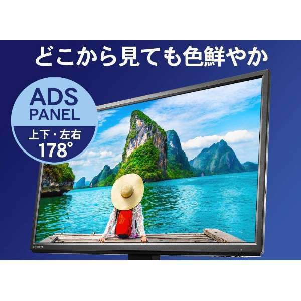 LCD-AH221XDB 広視野角ADSパネル採用 21.5型ワイド液晶ディスプレイ ブラック｜の通販はソフマップ[sofmap]