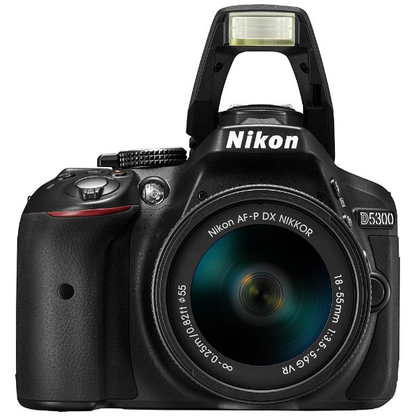 Nikon D5300 AF-Pダブルズームキット