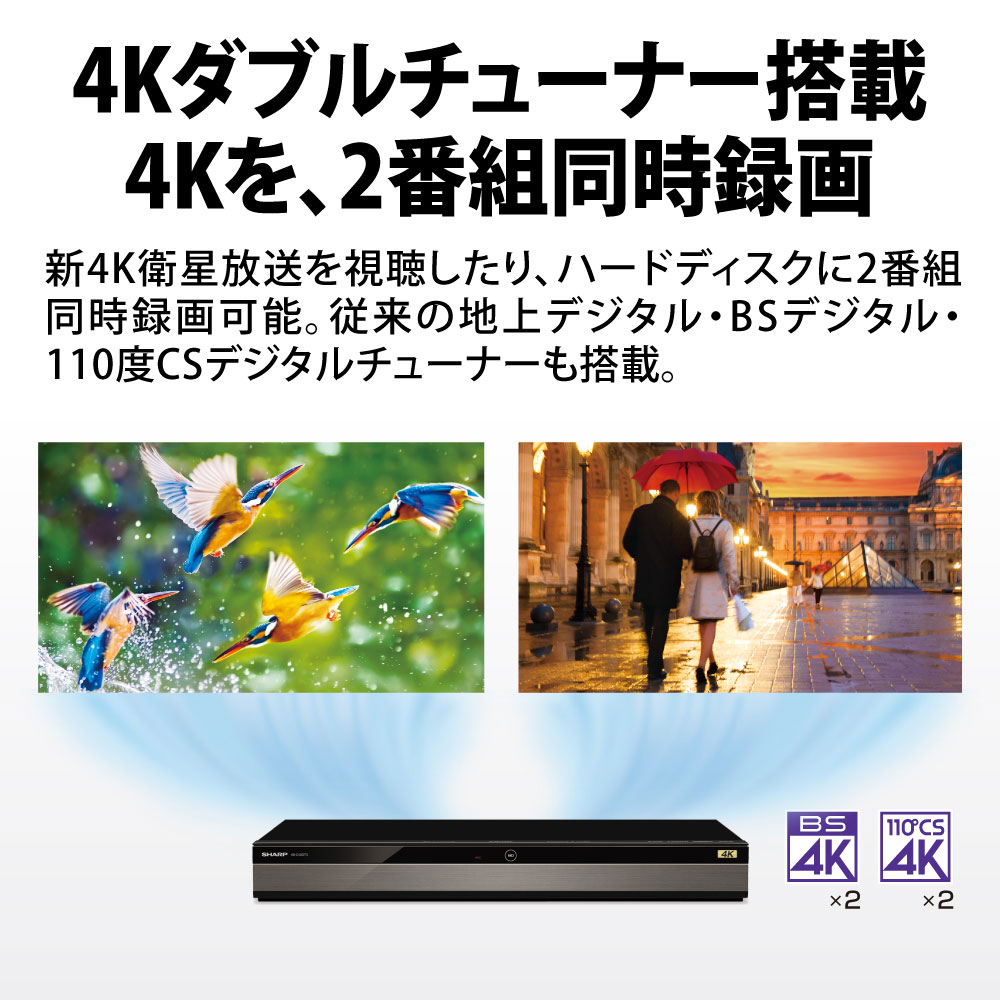 シャープ 1TB 2番組同時録画 4K ブルーレイレコーダー 4B-C10DW3