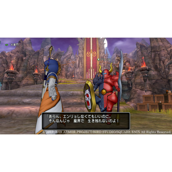 ドラゴンクエストX　いばらの巫女と滅びの神　オンライン 【PS4ゲームソフト】 【sof001】_4