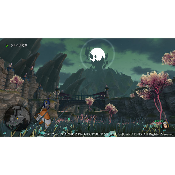 ドラゴンクエストX　いばらの巫女と滅びの神　オンライン 【Switchゲームソフト】_1