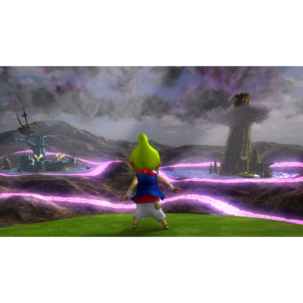 ゼルダ無双 ハイラルオールスターズ 3dsゲームソフト ニンテンドー3ds の通販はソフマップ Sofmap