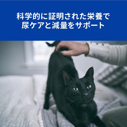 ヒルズ 猫 C Dマルチケアコンフォート メタボリックス 2kg の通販はソフマップ Sofmap