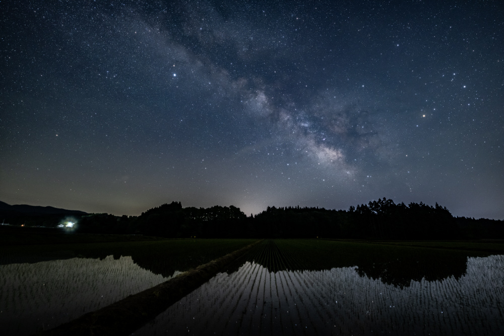 カメラレンズ 14mm F1.4 DG DN Art ［ソニーE /単焦点レンズ］｜の通販
