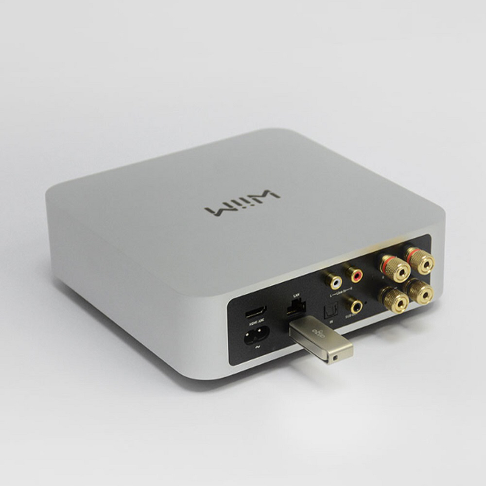 プリメインアンプ オーディオストリーマー WiiM Amp Silver