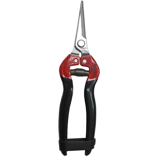 Barnel V3001s クラシック ステン芽切鋏 直刃 の通販はソフマップ Sofmap