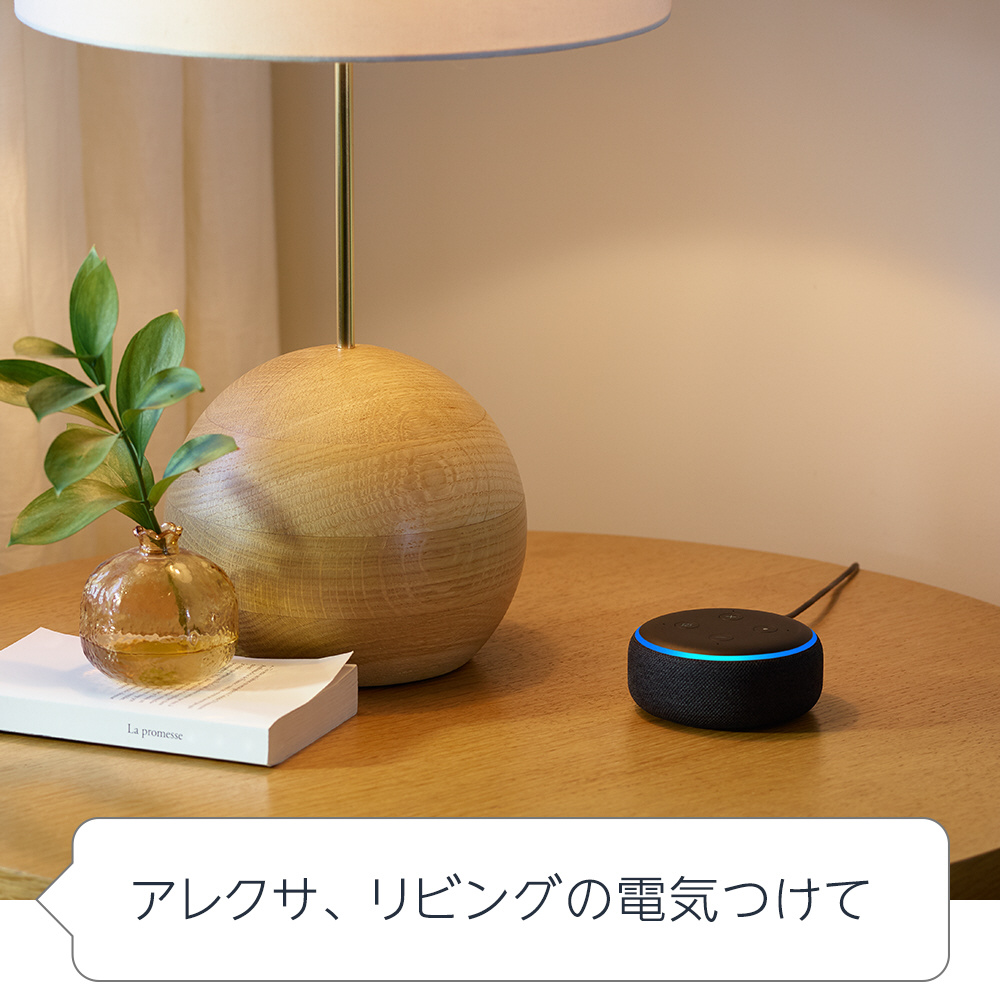 Echo Dot 第3世代 チャコール スマートスピーカー - スピーカー