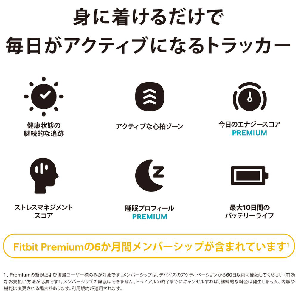 Fitbit フィットビット FB424BKBK-FRCJK