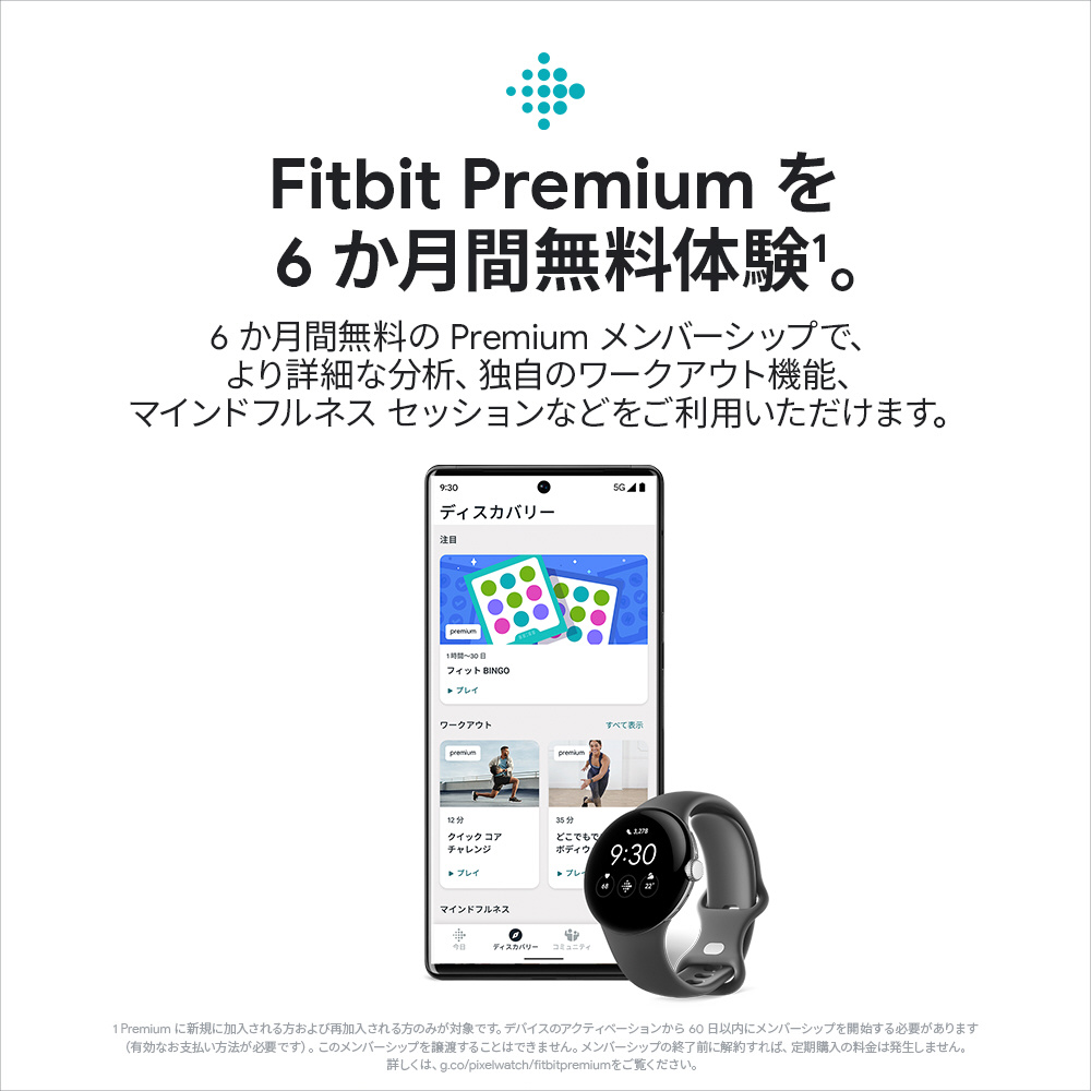 日本初の Google Pixel Watch Polished Silver ステンレス ケース