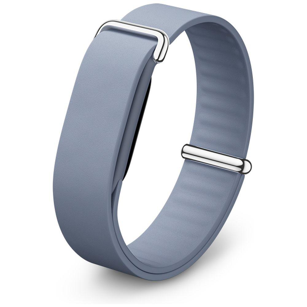 Google Fitbit Air プレミアム モダンバンド Moonstone GA11078-WW｜の