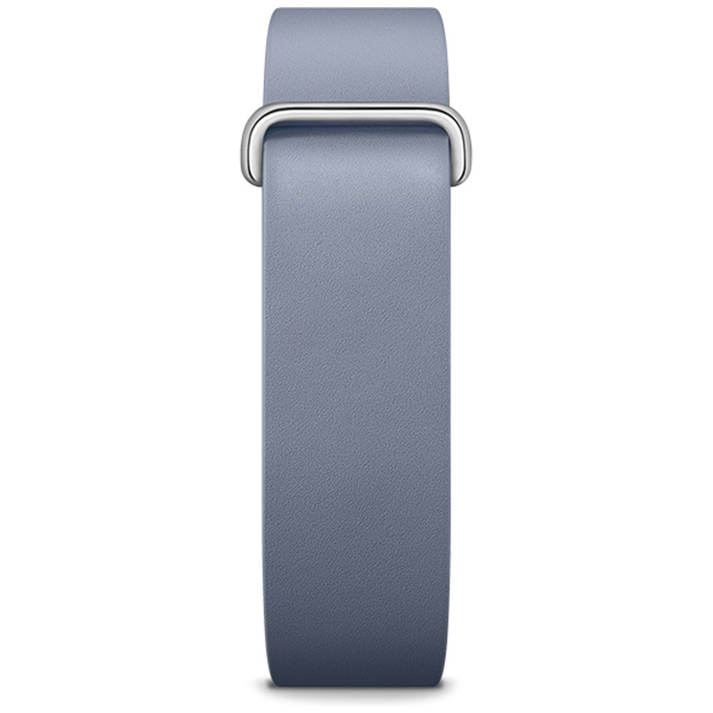 Google Fitbit Air プレミアム モダンバンド Moonstone GA11078-WW｜の