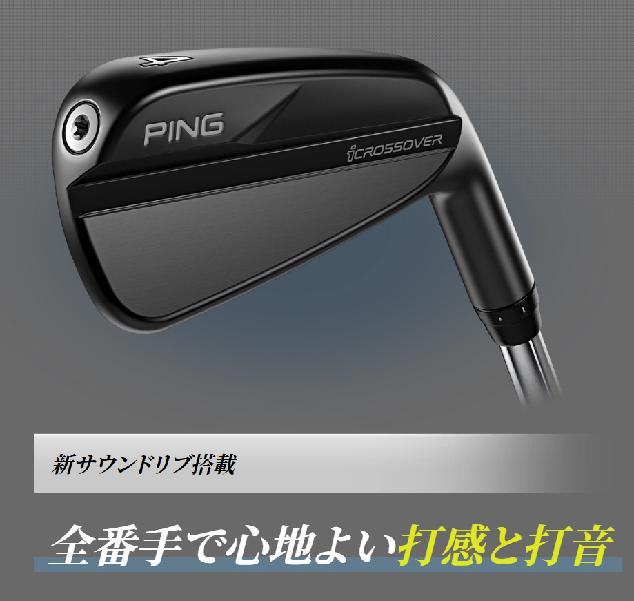 買取】ハイブリッド ・ユーティリティ iクロスオーバー iCROSSOVER#2 