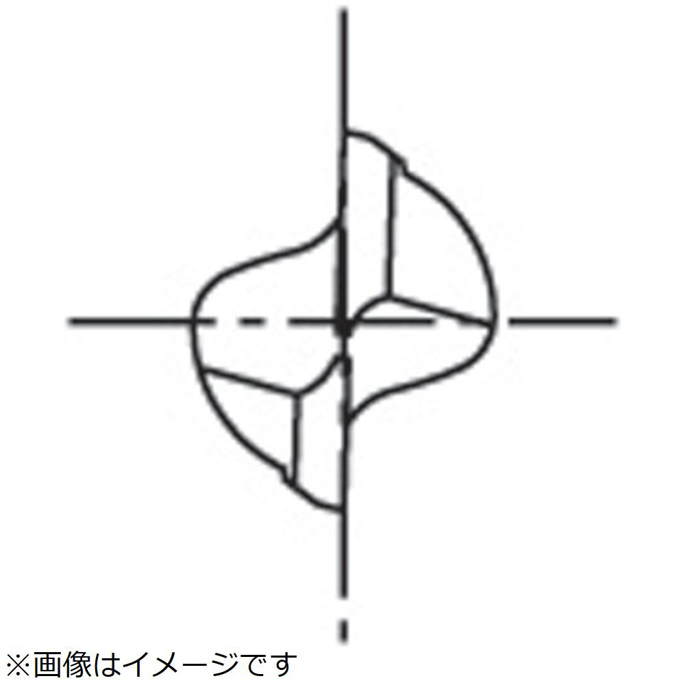 超硬エンドミル FX 2刃ロング 20 8522200 FX-MG-EDL-20｜の通販は