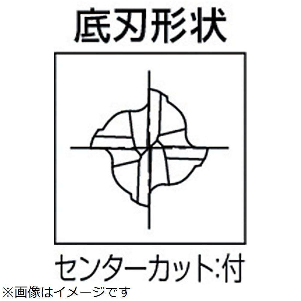 超硬エンドミル　FX　4刃ロング　13　8523130 FX-MG-EML-13