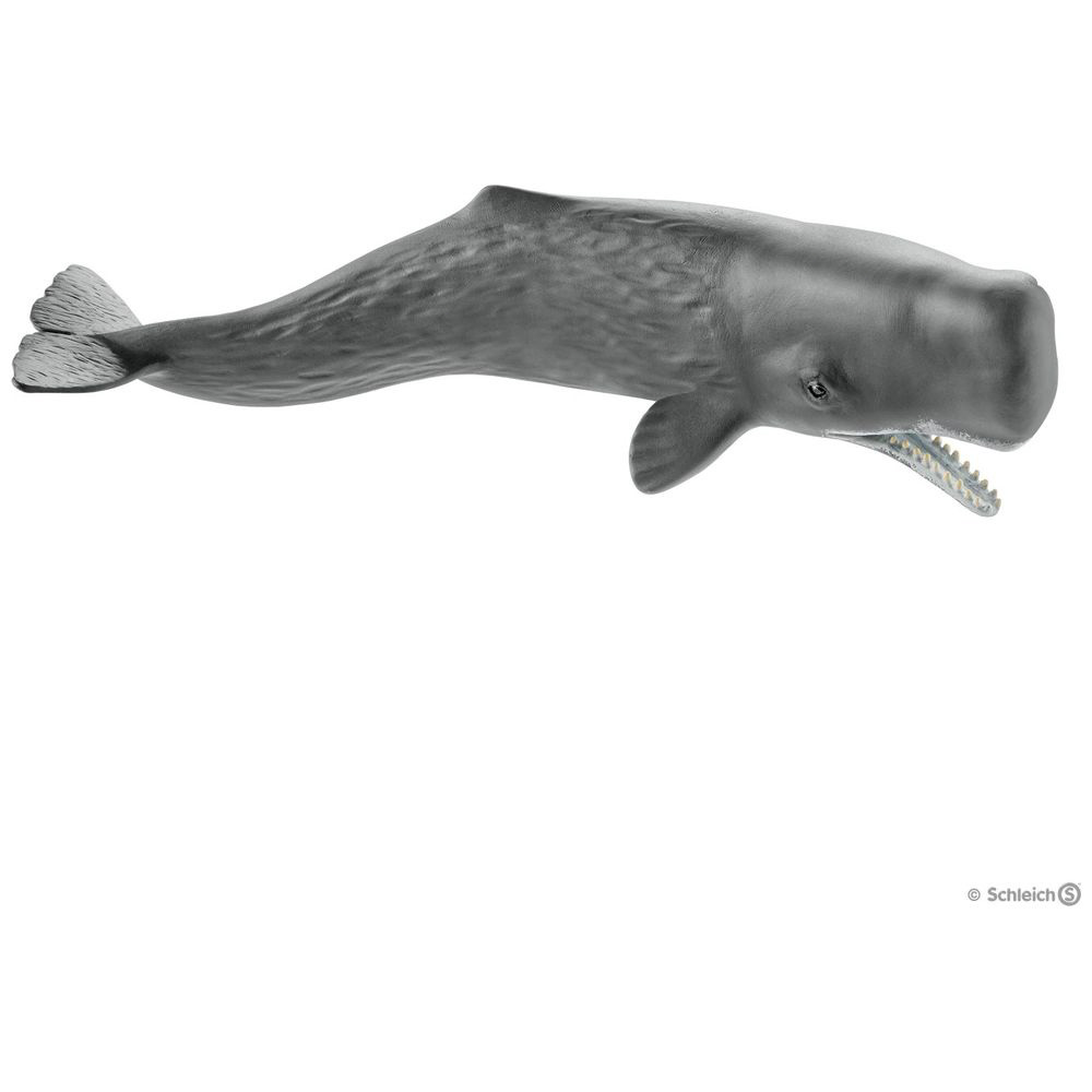 シュライヒ 14764 マッコウクジラ