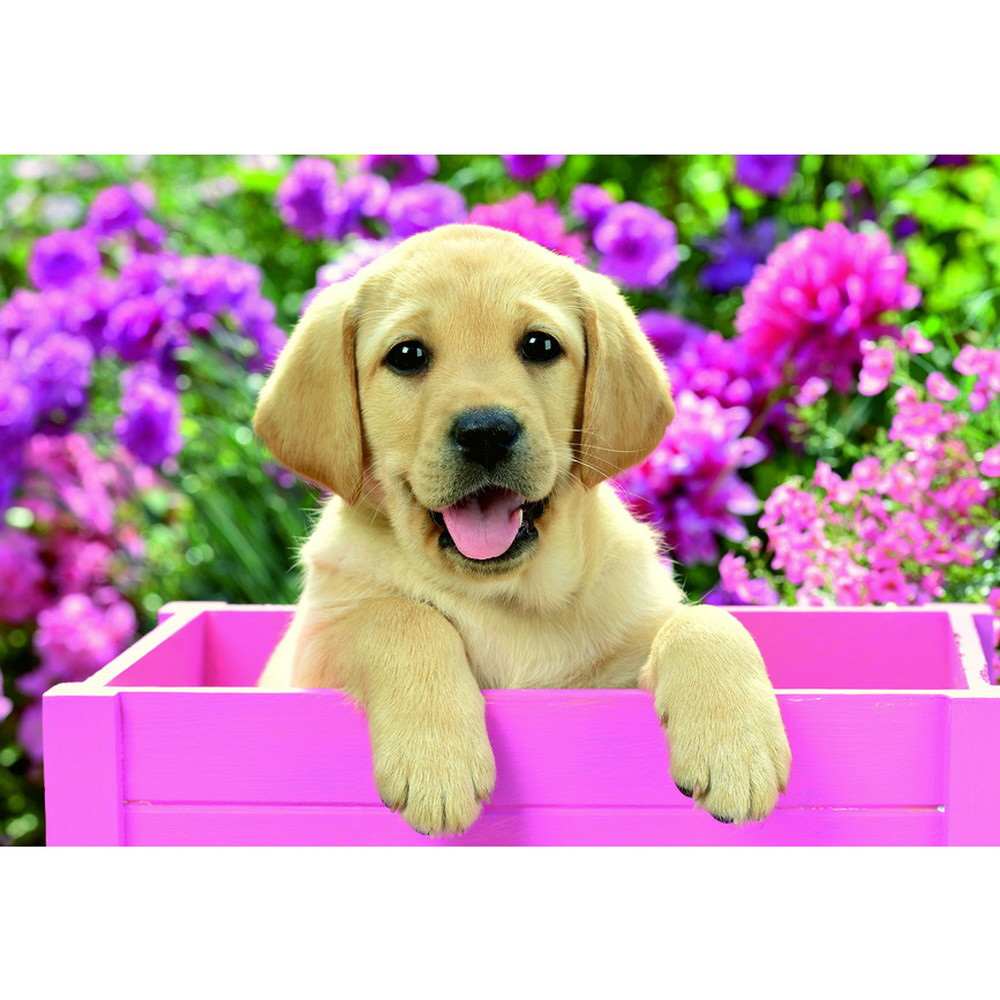 パズル かわいい子犬 24ピース 2種 の通販はアキバ ソフマップ Sofmap