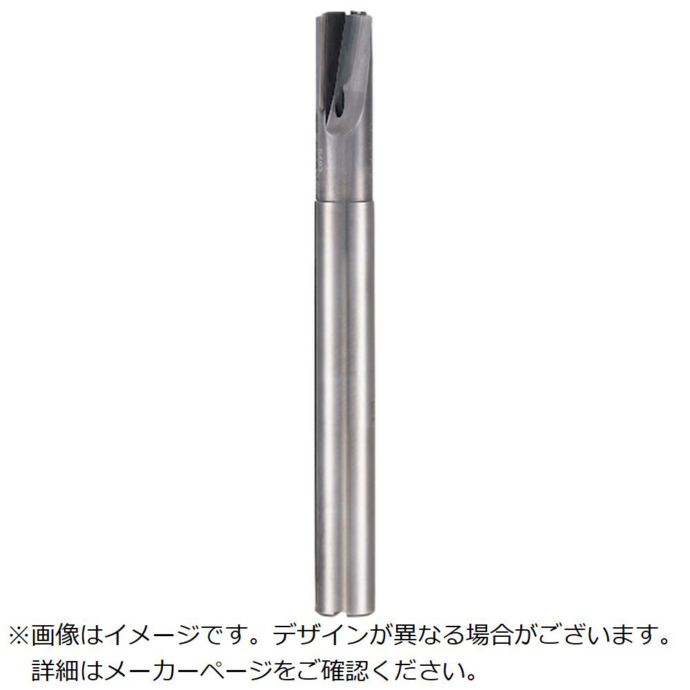 グーリング PCD 2枚刃エンドミル ロングシャンク 10mm 549310.000｜の通販はソフマップ[sofmap]