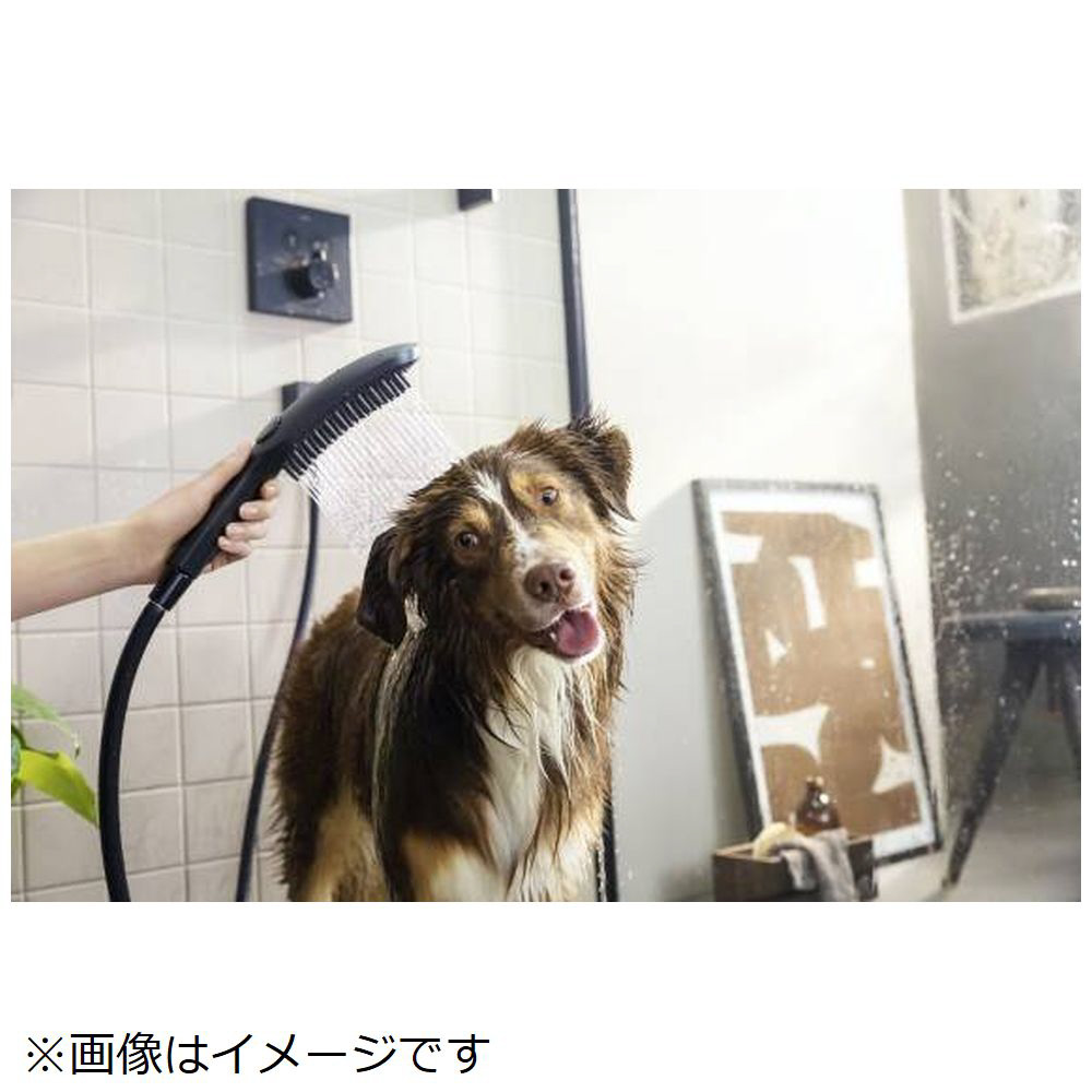 ペット用シャワーヘッド ドッグシャワー150 スカイブルー 26640540｜の