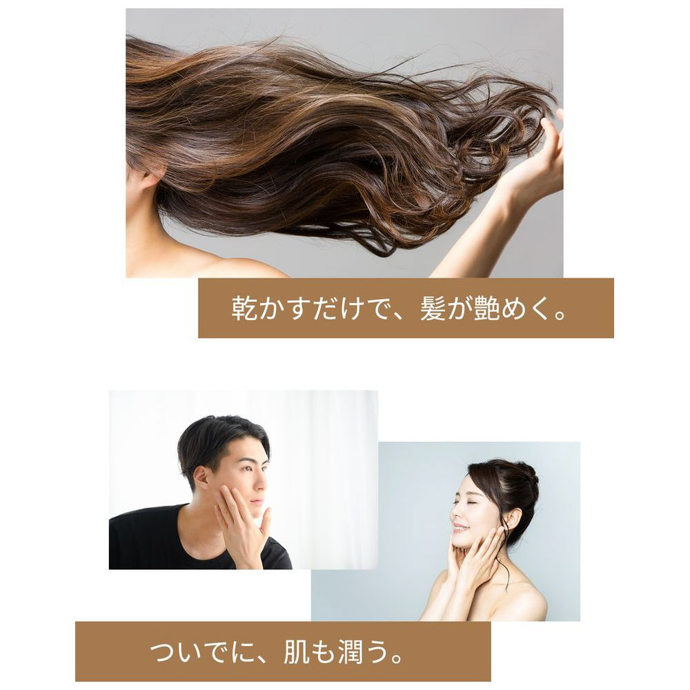 ゴールドナノコラーゲンドライヤー SILKY STORM（シルキーストーム