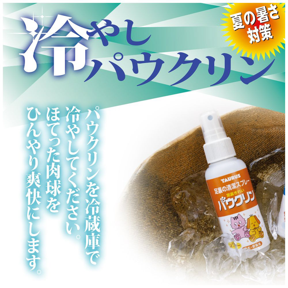 69％以上節約 トーラス パウソフト愛犬用 ５０ｍｌ 犬 肉球 ケア用品 discoversvg.com