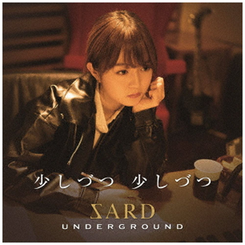 SARD UNDERGROUND/ 少しづつ 少しづつ 通常盤｜の通販はアキバ ...