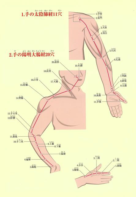 運動・からだ図解 経絡・ツボの基本 | 森 英俊 |本 | 通販 | Amazon
