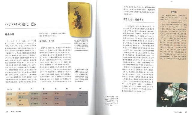 バーゲンブック 世界のミツバチハナバチ百科図鑑 の通販はソフマップ Sofmap