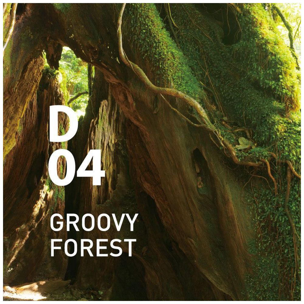 Design air（デザインエアー）D04 グルーヴィーフォレスト 250ml デザインエアー air D04 グルーヴィーフォレスト さまざまな情景やイメージをテーマとして いくつもの香りをミックスしたシリーズです