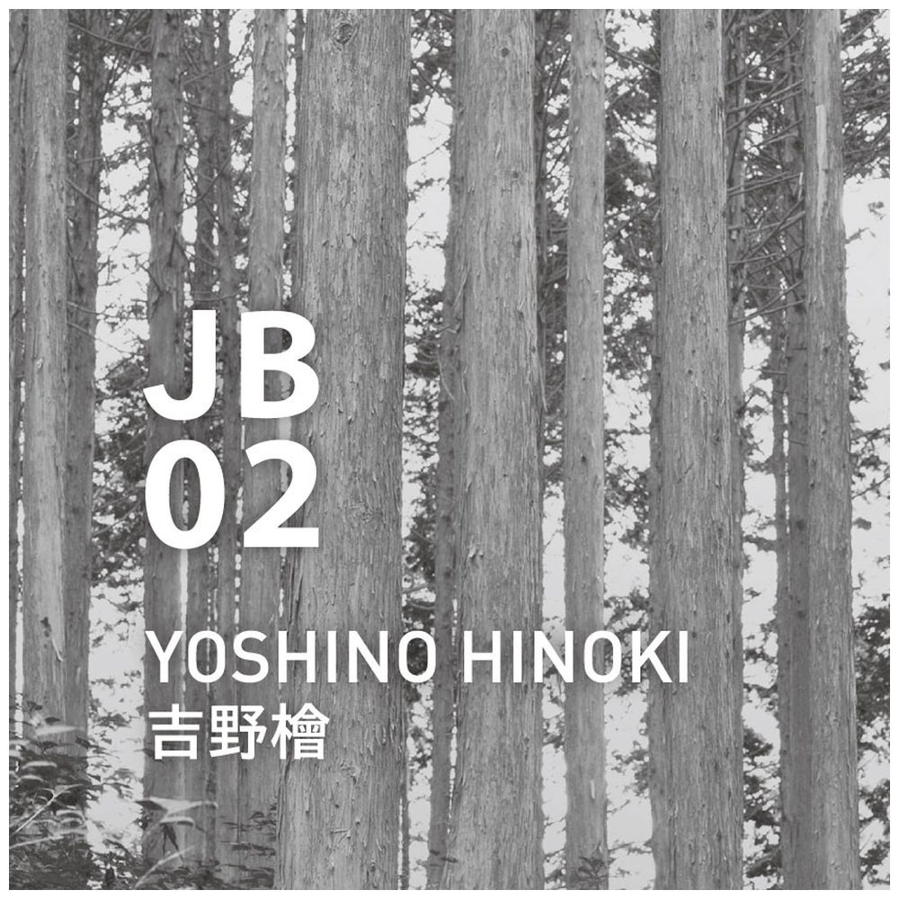 Japanese Botanical air（ジャパニーズボタニカルエアー）JB02 吉野檜 250ml Botanical air ジャパニーズボタニカルエアー JB02 吉野檜 ジャパニーズエアー 日本の自然や文化と結びついた深みと美しさを感じさせるシリーズです