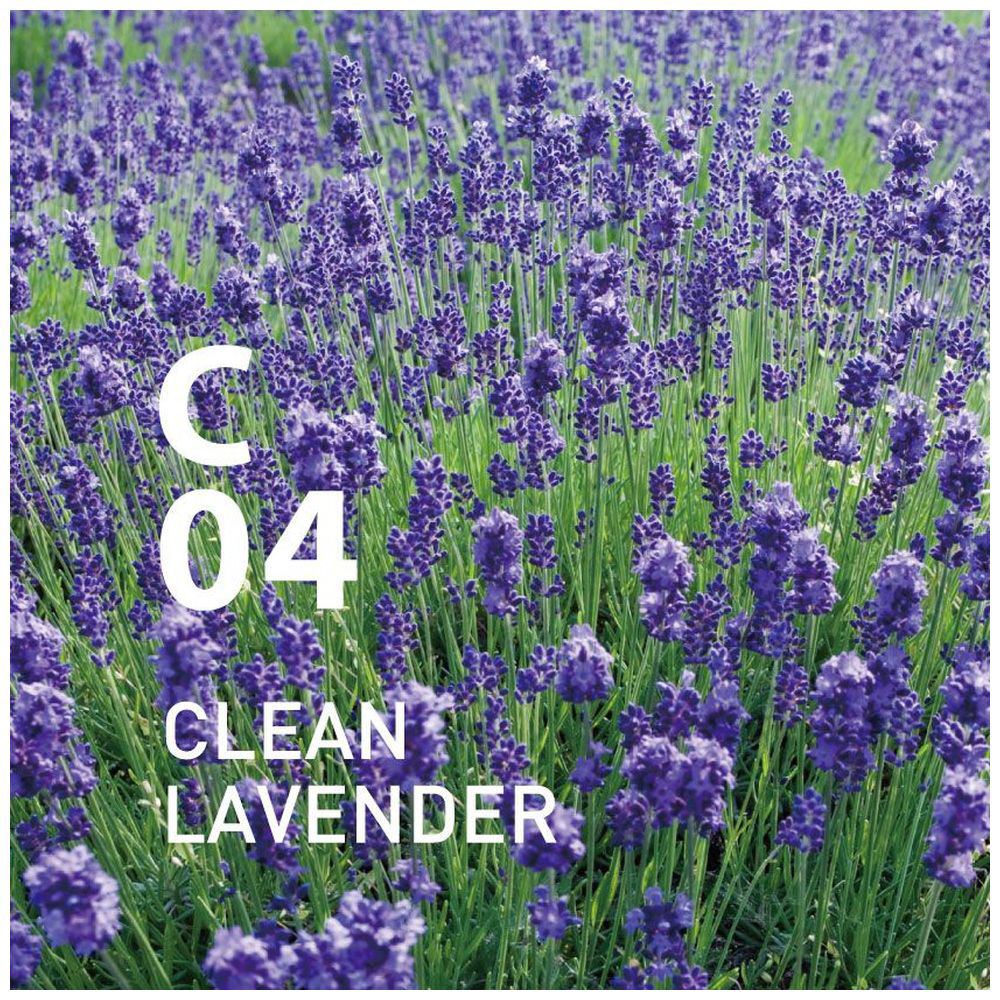 Clean air（クリーンエアー）C04 クリーンラベンダー 250ml クリーンエアー air C04 クリーンラベンダー 香りの機能性にいっそうフォーカスし 清潔な空気環境をつくるユーカリや 実際に涼しさを体感させるペパーミントなどのアロマオイルを使ったシリーズです