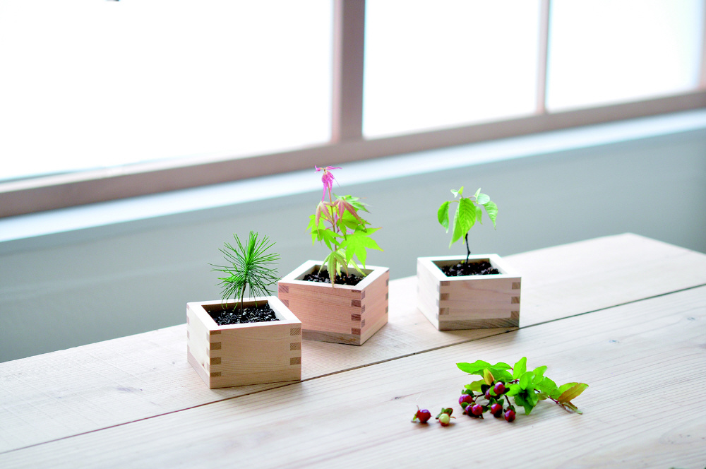 【5月末までの出品】5連大皿 (木地玉) セット 5連大皿 (木地玉) セット - メルカリ