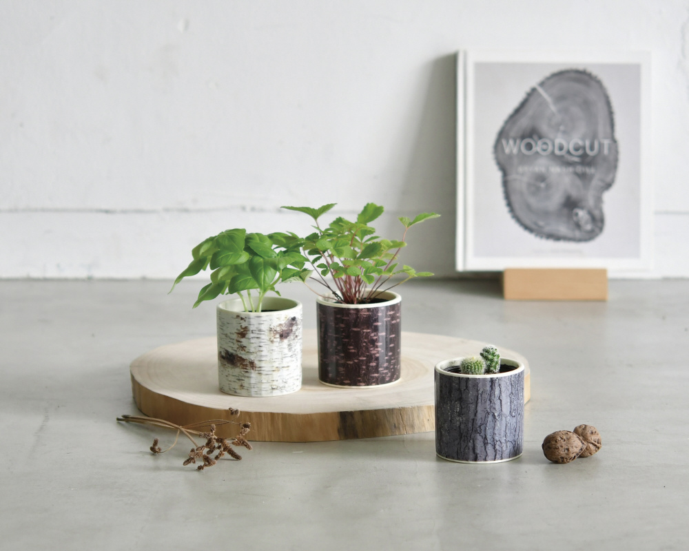 Gd 602 ウッド グリーン オーク カクタス の通販はソフマップ Sofmap