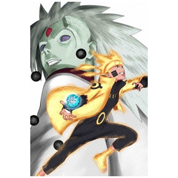 新価格版 最安価 アニメDVD NARUTO 疾風伝 無限月読・発動の章 BOX 全4