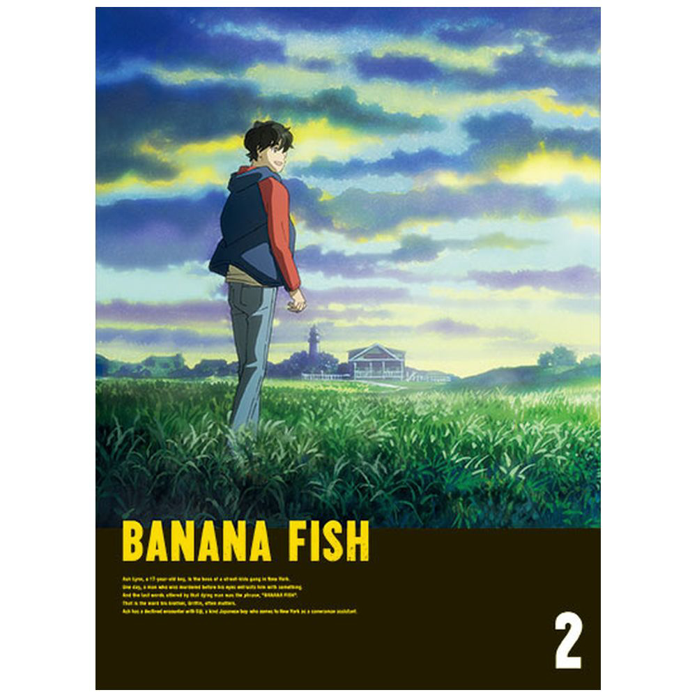 2]　完全生産限定版　DVD-BOX　BANANA　FISH　DVD｜の通販はアキバ☆ソフマップ[sofmap]