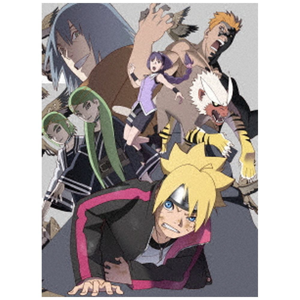 BORUTO-ボルト-NARUTO NEXT GENERATIONS DVD-BOX6 完全生産限定版 DVD