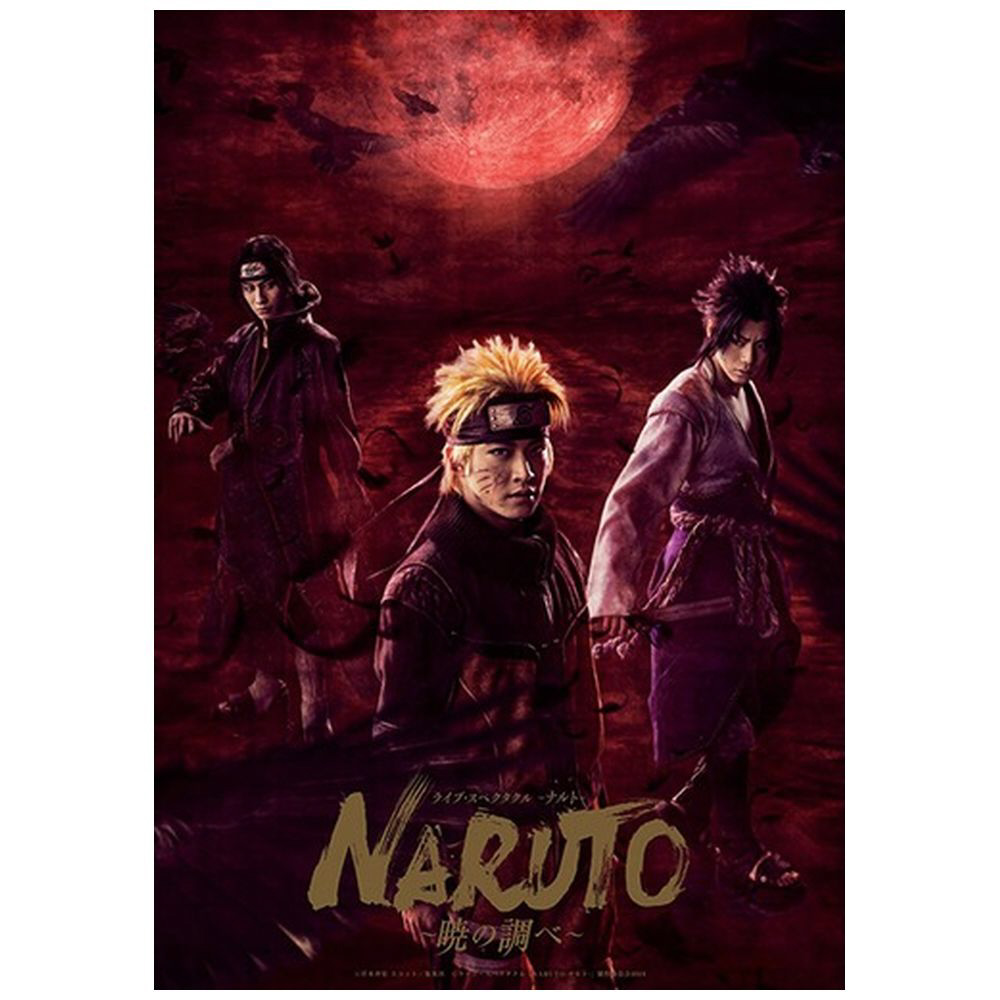 ライブ・スペクタクル「NARUTO-ナルト-」~暁の調べ~ 2019(完全生産限定版) DVD