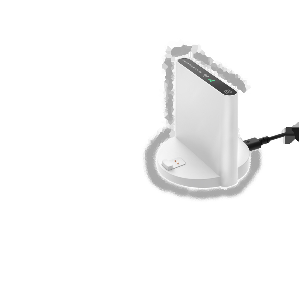 ゲーミングマウス (DWバージョン Lサイズ)ZOWIE for esports ホワイト