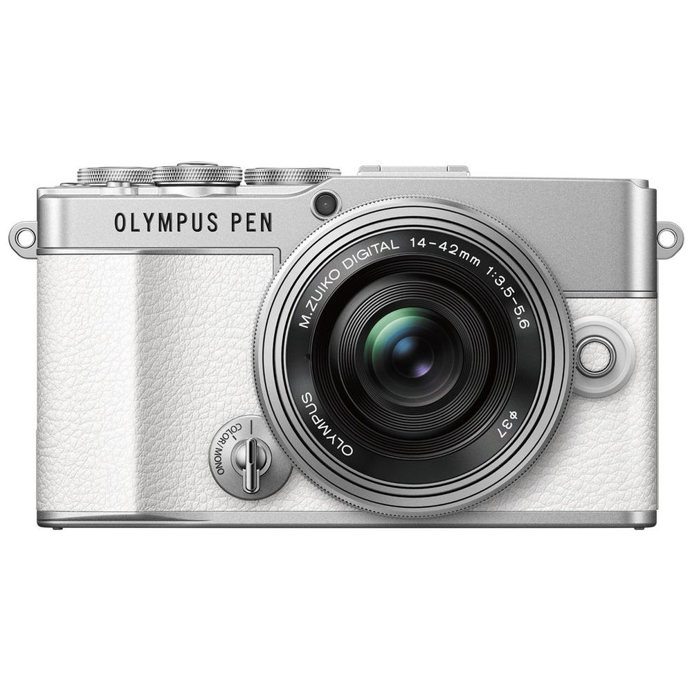 OLYMPUS ミラーレス一眼 PEN E-PL7, E-PL8, E-PL9用 本革ボディー