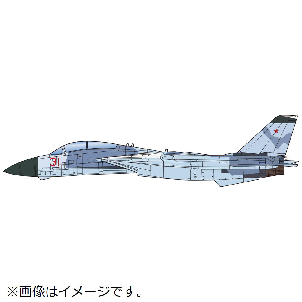 1/48 F-14A トムキャット アメリカ海軍戦闘機兵器学校“トップガン”