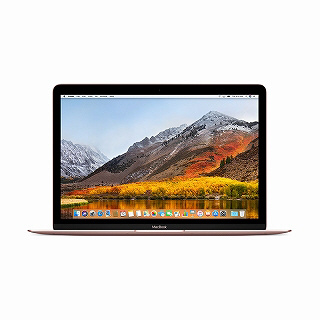 APPLE MacBook retina 12インチCore i5 512GB