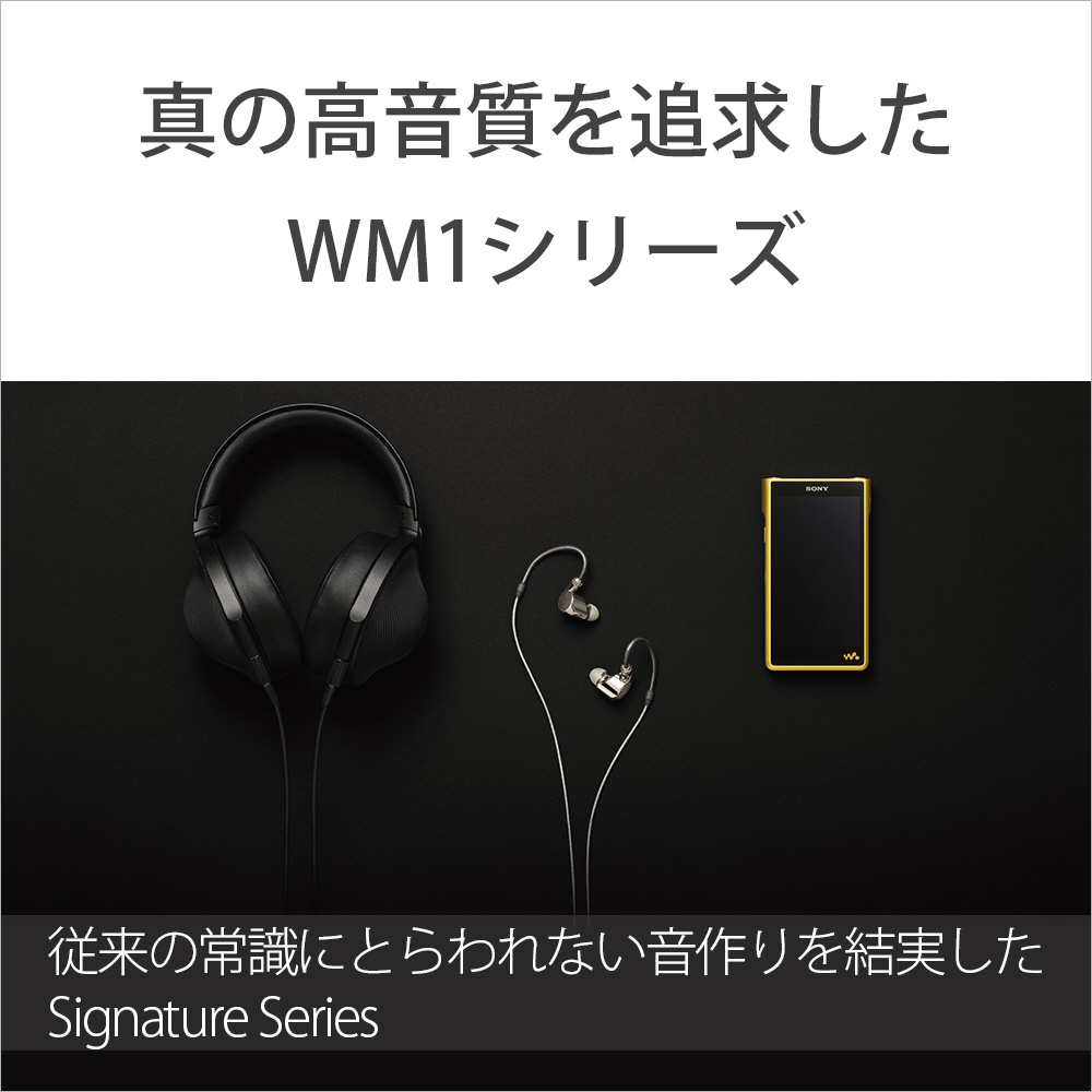 超美品 ソニー NW-WM1Z ハイレゾ ウォークマン 256GB 完備品