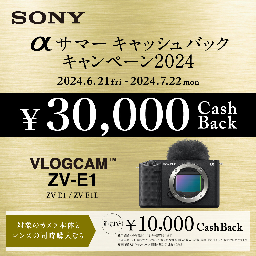 ZV-E1 レンズキット 専用ケース付き 保証有 - デジタルカメラ