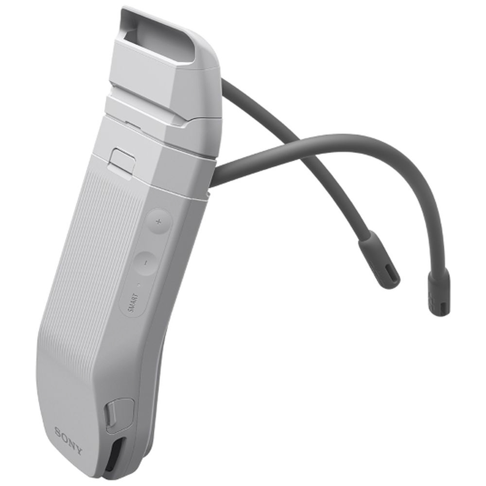 ウェアラブルサーモデバイス REON POCKET PRO Plus （レオンポケット